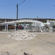 Odbočka na San Ignacio. The turnoff to San Ignacio : Baja2011